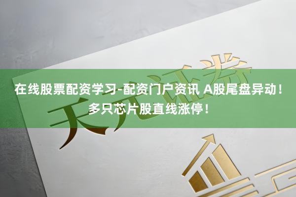 在线股票配资学习-配资门户资讯 A股尾盘异动！多只芯片股直线涨停！