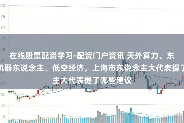 在线股票配资学习-配资门户资讯 天外算力、东说念主形机器东说念主、低空经济,上海市东说念主大代表提了哪些建议